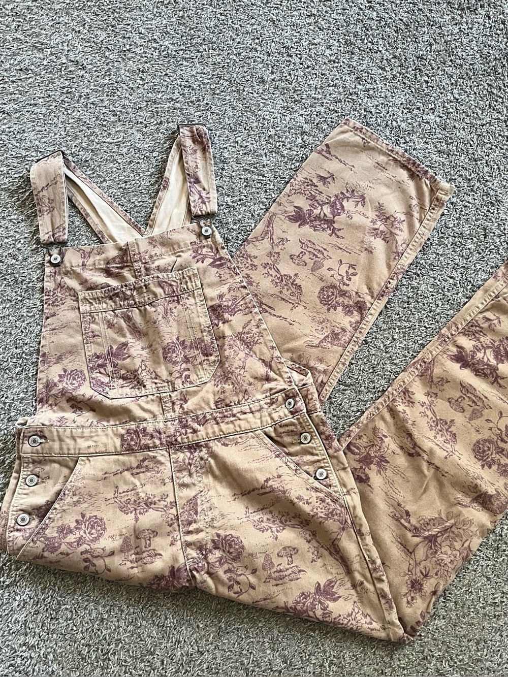 Free People We the Free Ziggy Toile Print Overalls Cottagecore Countrycore RARE